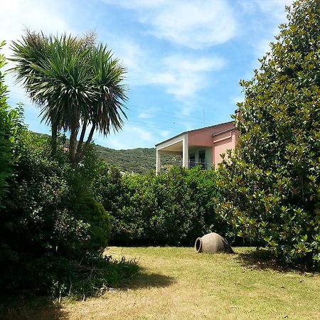 Villa Magnolia Ioannina Exterior photo